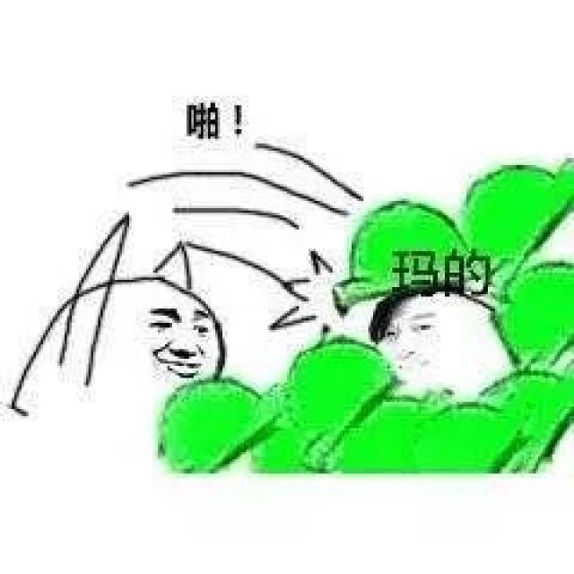 三生情劫,再踏仙途丨萤火虫展会