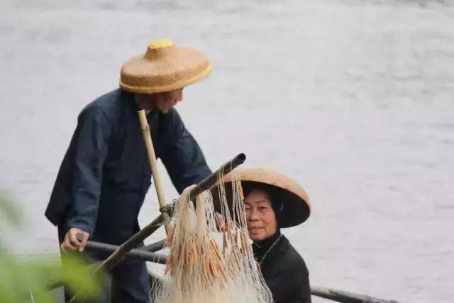 曲水盈盈绾乡心,唤声姑妹述衷情—中山咸水歌