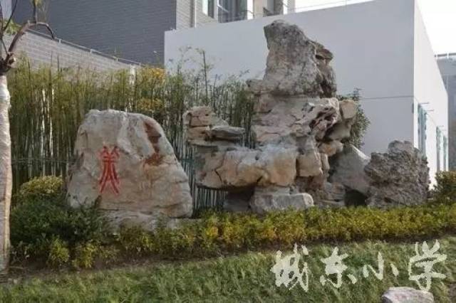 泰州市城东中心小学