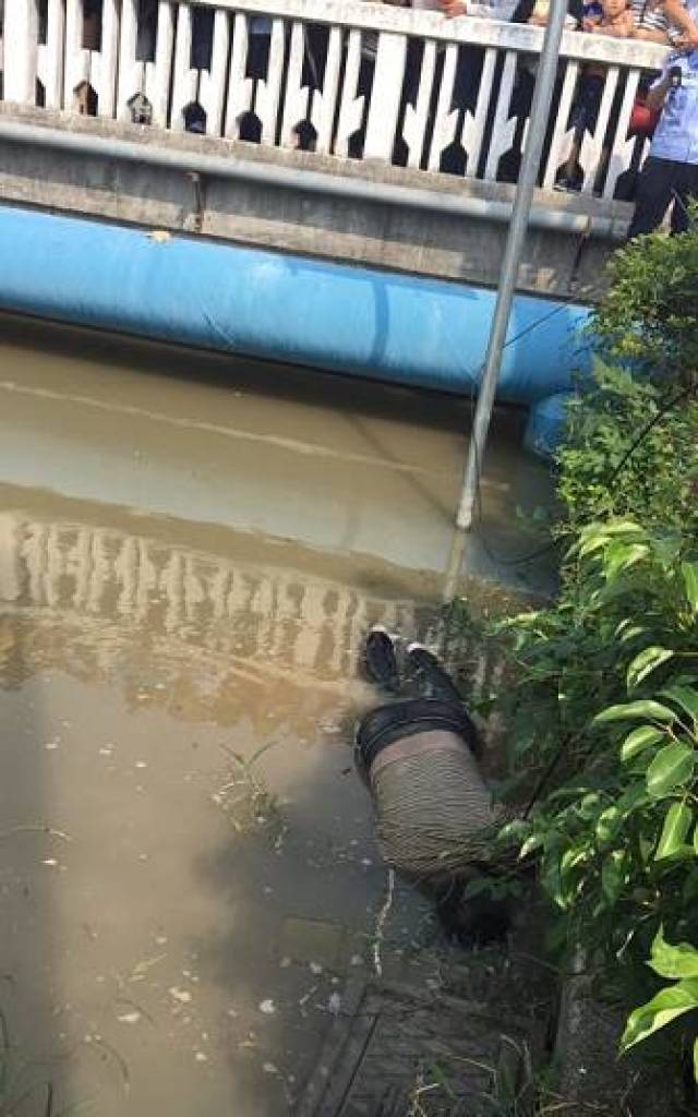 (现场视频)高邮一河边发现一具男尸,从银河湾一直漂到屏淮桥.