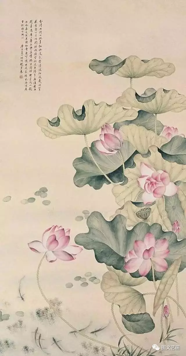 工笔国画,荷花,高清作品欣赏