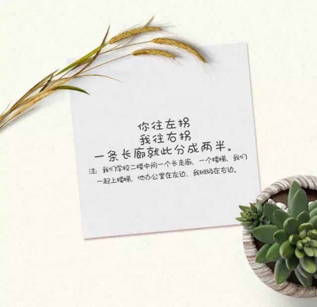 教师节"给老师的三行诗"活动,竟"炸"出了一批深藏不露的"诗人"粉丝们