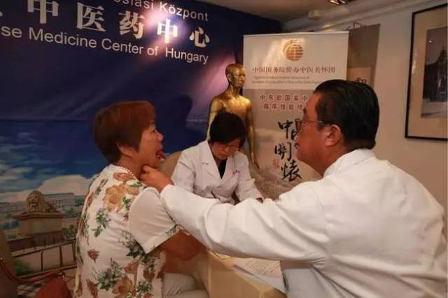 让中医药在匈牙利生根发芽