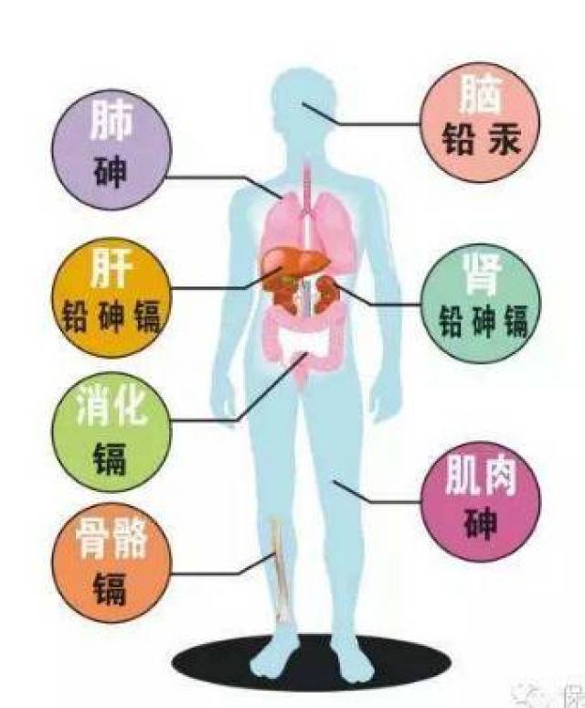 浅析垃圾焚烧多米体育飞灰的危害性(图1)