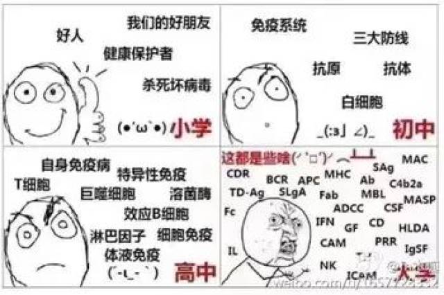 化学 最近老师的头发好像是比以前稀疏了… ●●● 生物学 @m