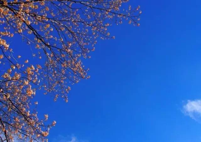 【生活百科】为啥秋天的天空看着更蓝?