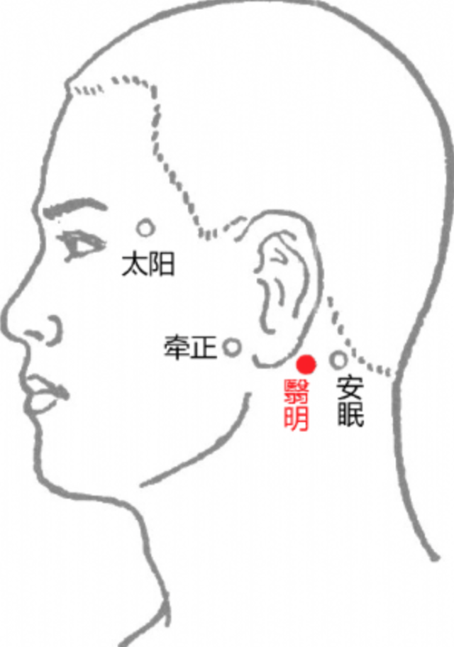 经外奇穴之翳明穴┊明目聪耳安心神