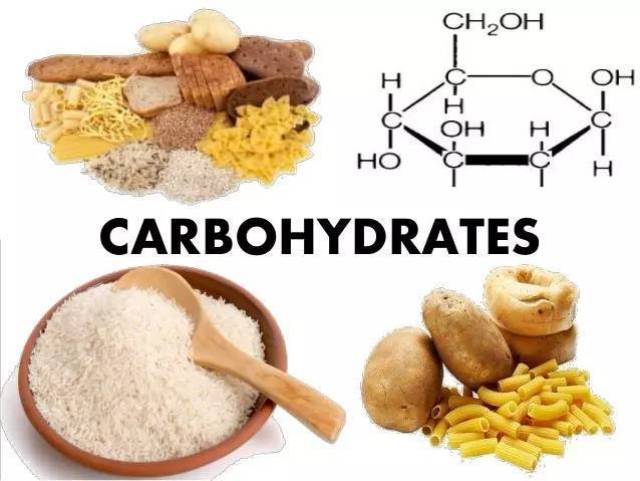 碳水化合物是什么?对于减肥人士摄入多好还是少好呀?