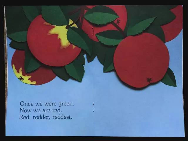 now we are red. 现在我们变红了. red, redder, reddest.