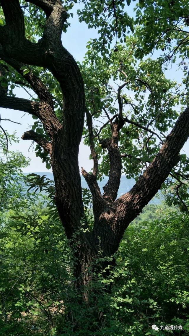 覃怀山水 荒山岭记