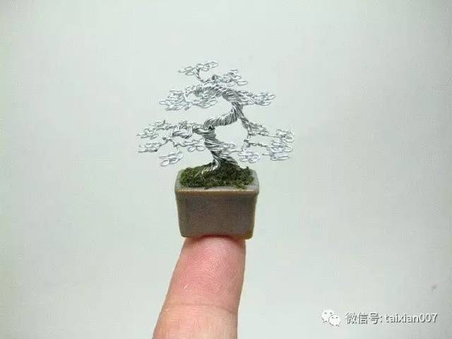 金属丝盆景手工教程攻略,看了就会,没什么难的!