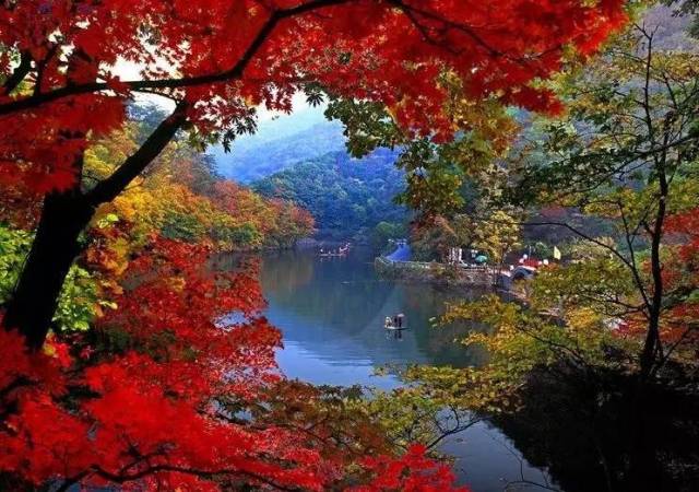 秋水清澈,秋景瑰艳,红叶如水,水就成了流动的油彩.