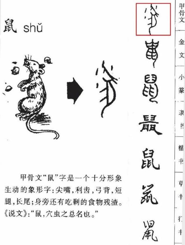 【私塾式教育】语文为王的时代,这些甲骨文你家孩子知道吗?