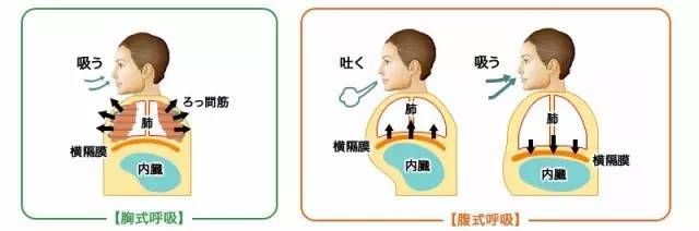 跑步时如何调节呼吸-跑步技术之一_手机搜狐网