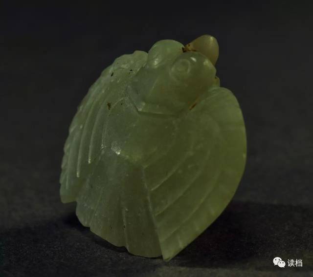 玉蝉  