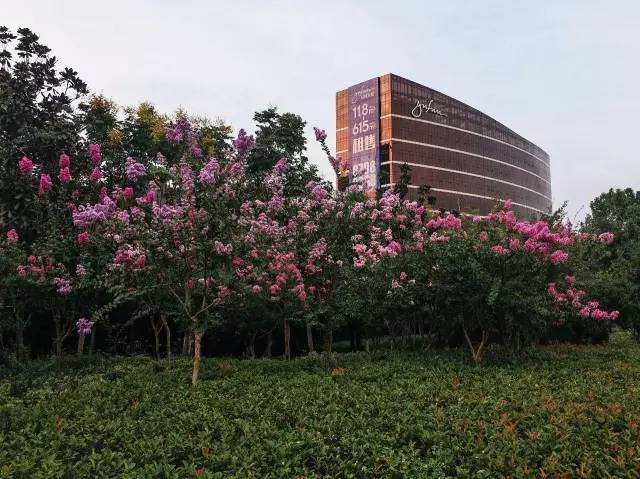 余杭街道gdp_夜晚街道图片(3)