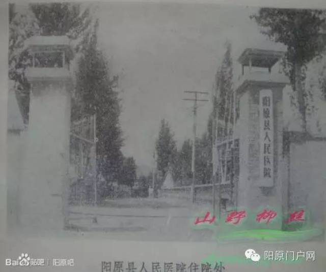 柳位正骨