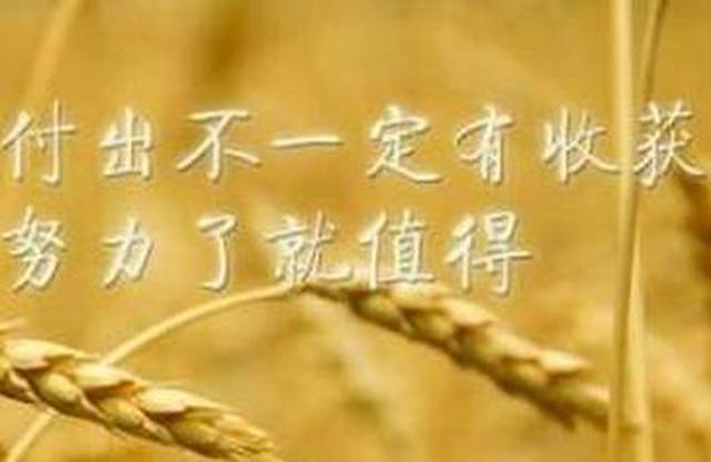 活在当下