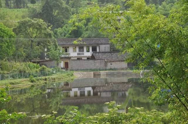 与其在人头攒动中"挤"国庆,不如在田园生活中享受宁静