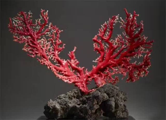 中国人走私100斤琥珀,在俄罗斯被抓,将判刑7年!违法的东西不能