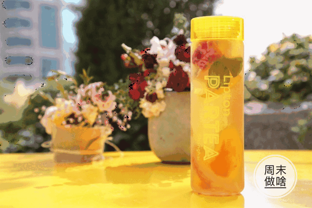 小怪已经去体验啦