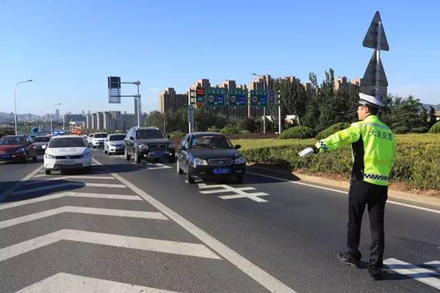 大连开通多乘员车辆专用道,单身汪慌了:得赶紧找对象!