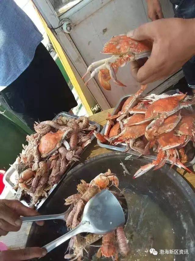 欢迎您来黄骅港包船出海!拖网观光,海钓捕鱼,现捕现吃