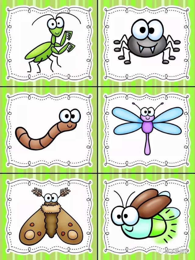 美国幼儿园课程一起玩# 之第一册第七课《昆虫》