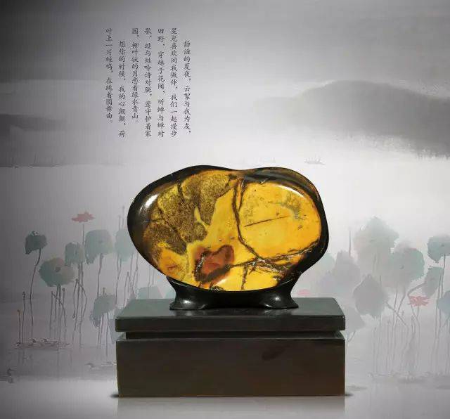 石种:广西大湾石 尺寸:10cm16cm4cm 收藏:孔岩 地址:长春市汽车