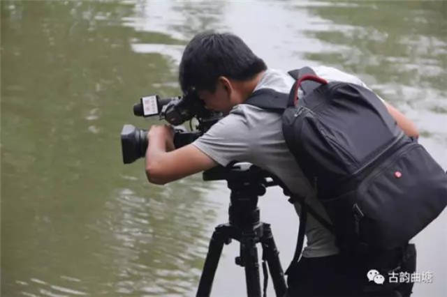 中央电视台七频道《致富经》栏目组到曲塘镇采