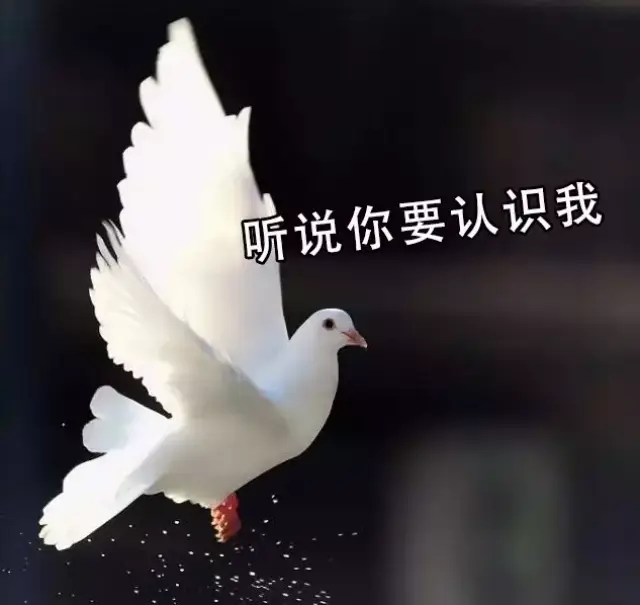 b7d4ecd367644228a2bfddcdb9cf5d42.jpg
