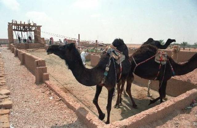 从经济视角看,沙特是个什么样的国家?