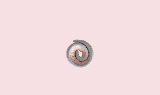640_377gif 动态图 动图