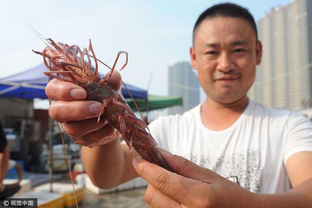 (图片来源:王海滨/视觉中国)