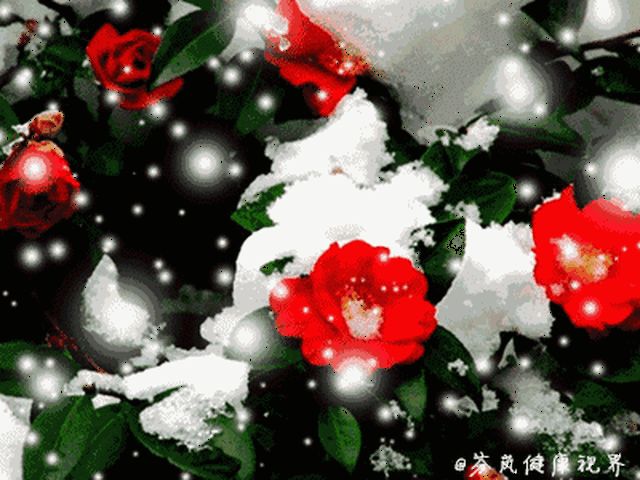 夫妻和驴,太经典!