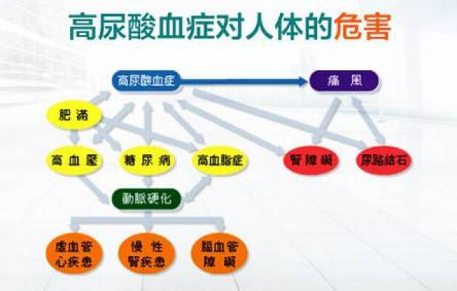 吃货,赶快收藏这份最全"食物嘌呤表"再不担心尿酸高