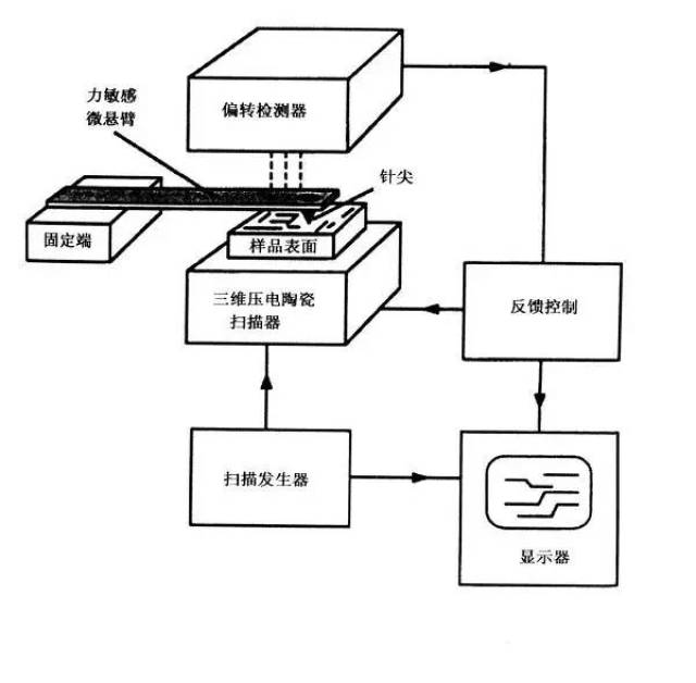 学术干货 对比学习扫描隧道显微镜(stm)与原子力显微镜(afm!