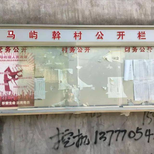 村级公开栏告别"牛皮癣"式乱贴——马屿镇推进"三务"公开规范化运行