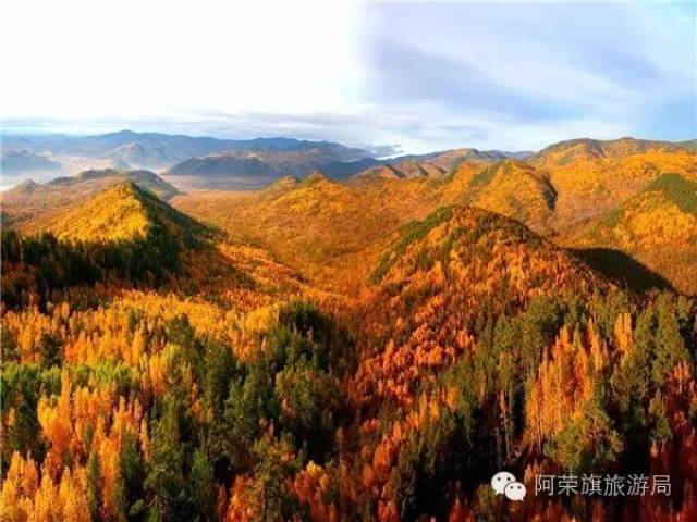 阿荣旗库伦沟现在已经色彩斑斓了!等十一放假去就有点晚了!