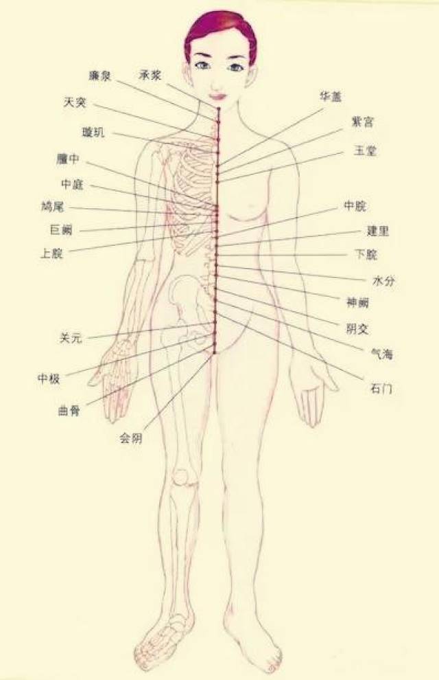 如何养好任脉,是女性健康的头等大事