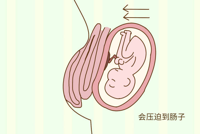 怀孕后老做这种尴尬事真想找个耗子洞躲一躲