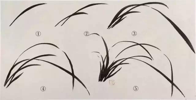 国画兰花绘画技法,怎样画兰,兰与竹的组合画法教程