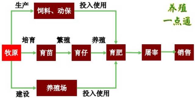 招聘养殖工_近期优质订单等你来(2)