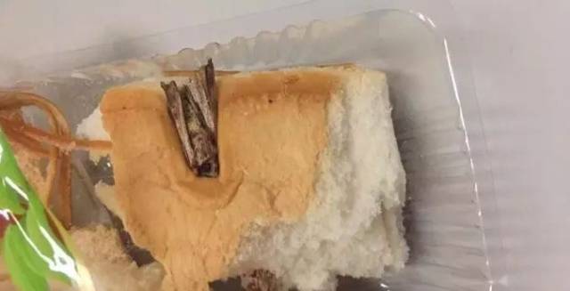 恶心!潍坊某商店面包吃出超大飞蛾,千万别再买了!