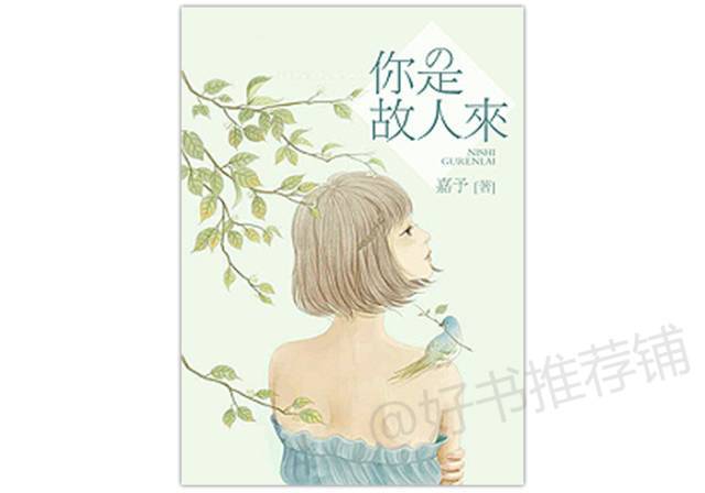 梦境中的温情重逢，已故外婆的鞋缘与餐桌之约
