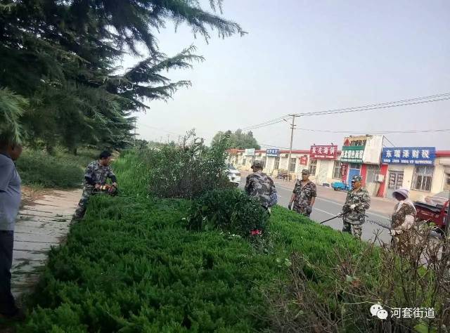 【小涧西主要道路绿化带杂物清理】