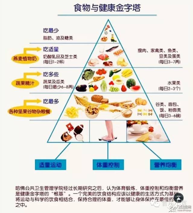 那么我们奶昔与以下这膳食金字塔完全符合,  只要一杯奶昔,就吃到了