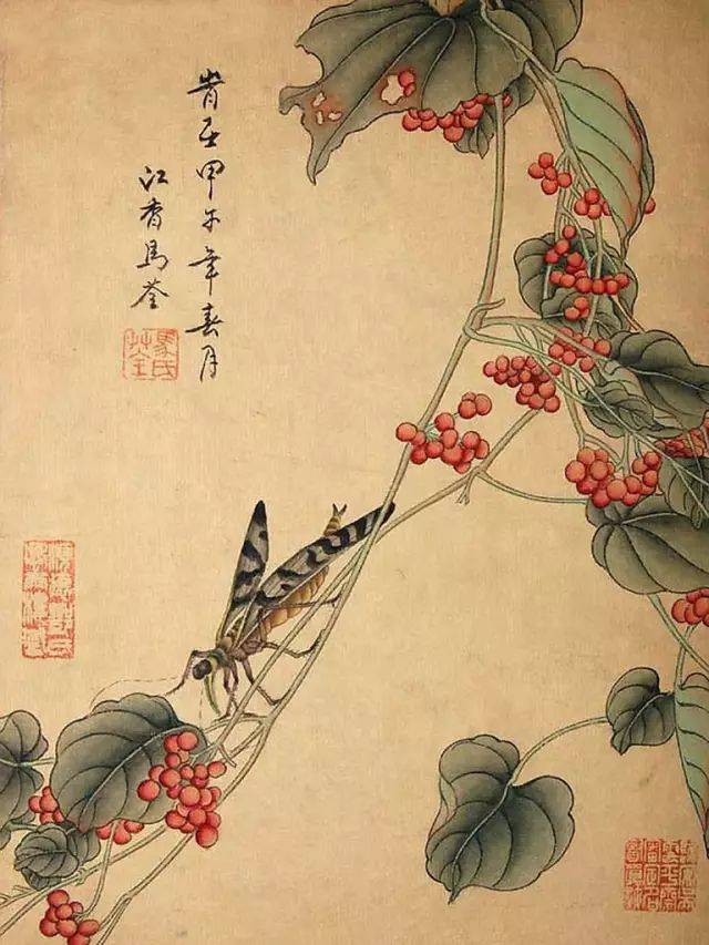 清代女画家|马荃工笔花鸟画大全