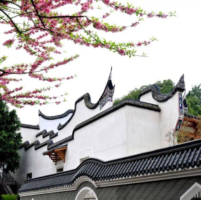 从冰心到林徽因,为何福州备受才女青睐?