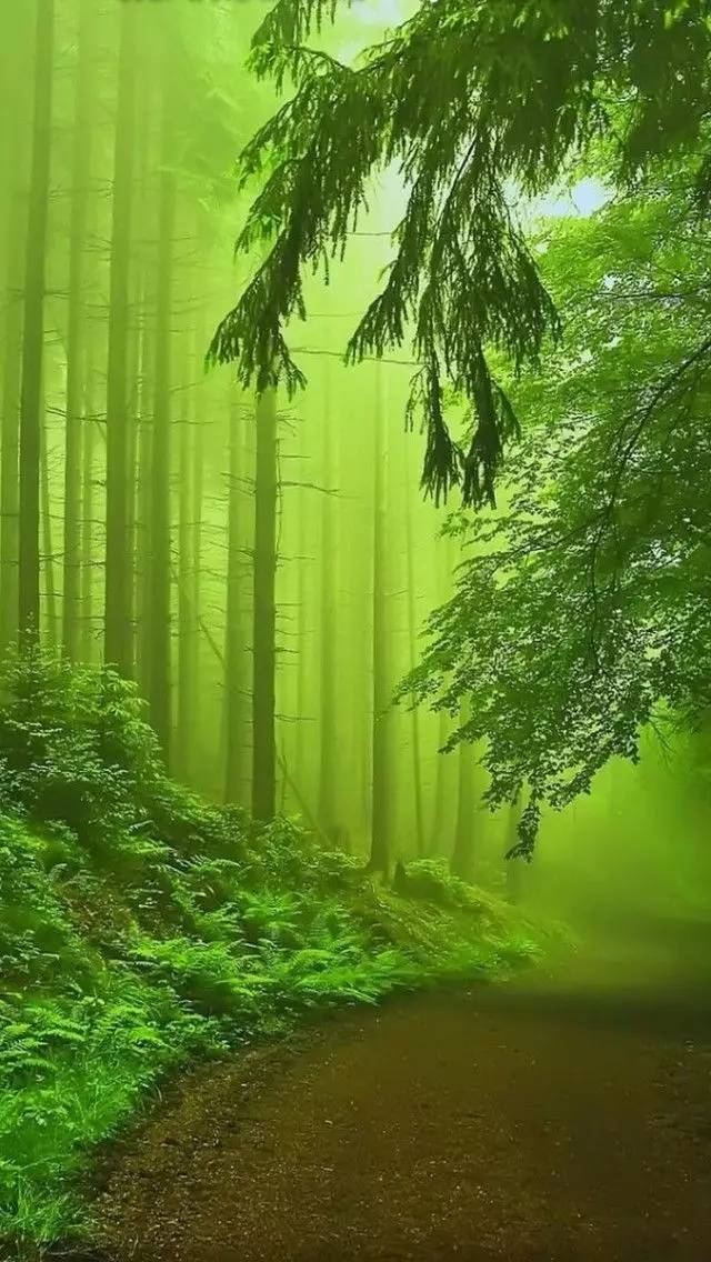 640_1136 竖版 竖屏